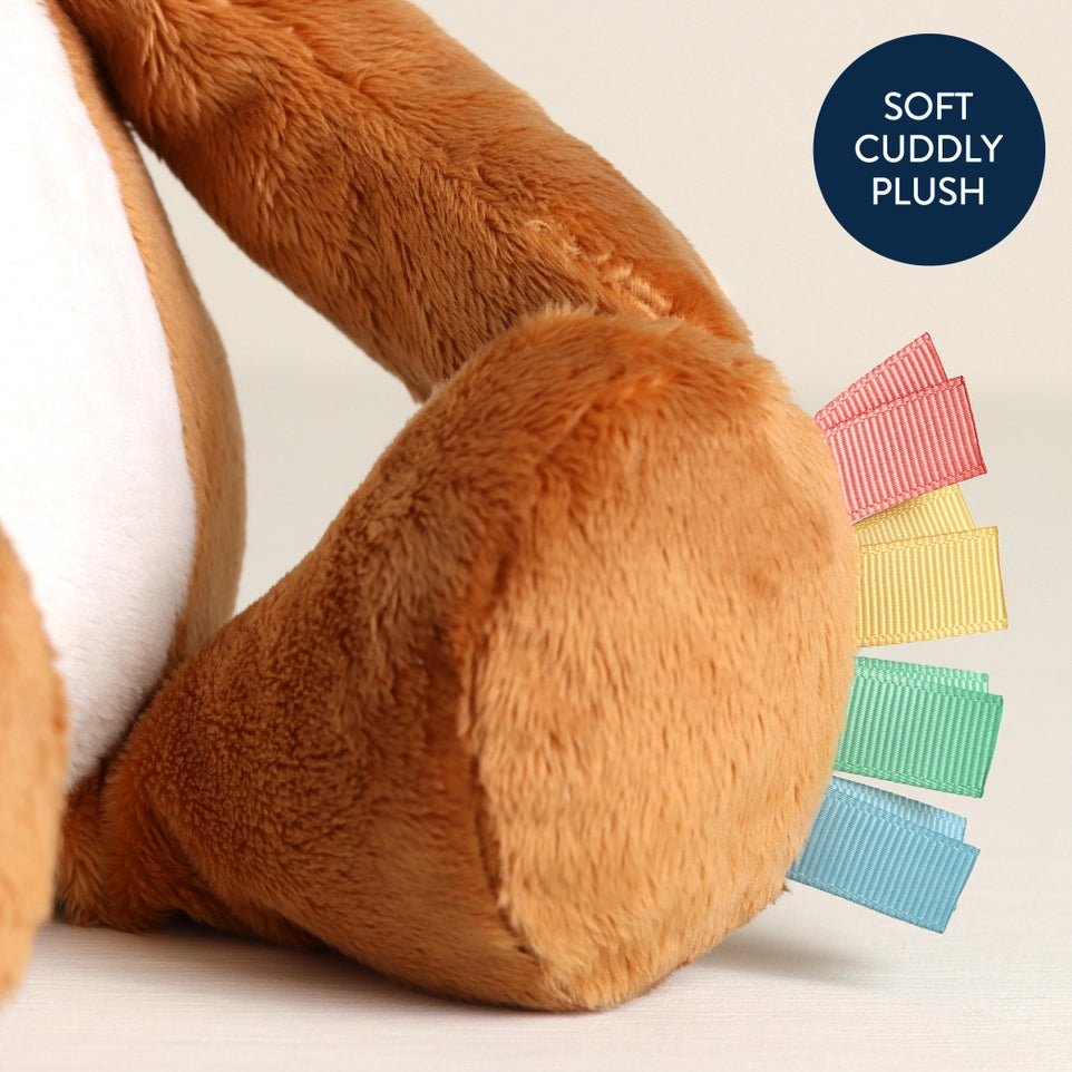 Itzy Ritzy Sweetie Snuggles (Alex the Fox)