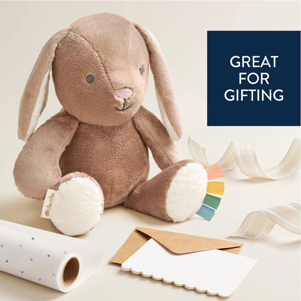 Itzy Ritzy Sweetie Snuggles (Billie the Taupe Bunny)