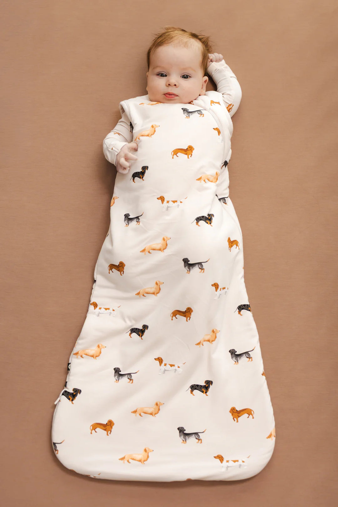 Kyte Baby Sleep Bag 1.0 TOG (Dachshund)