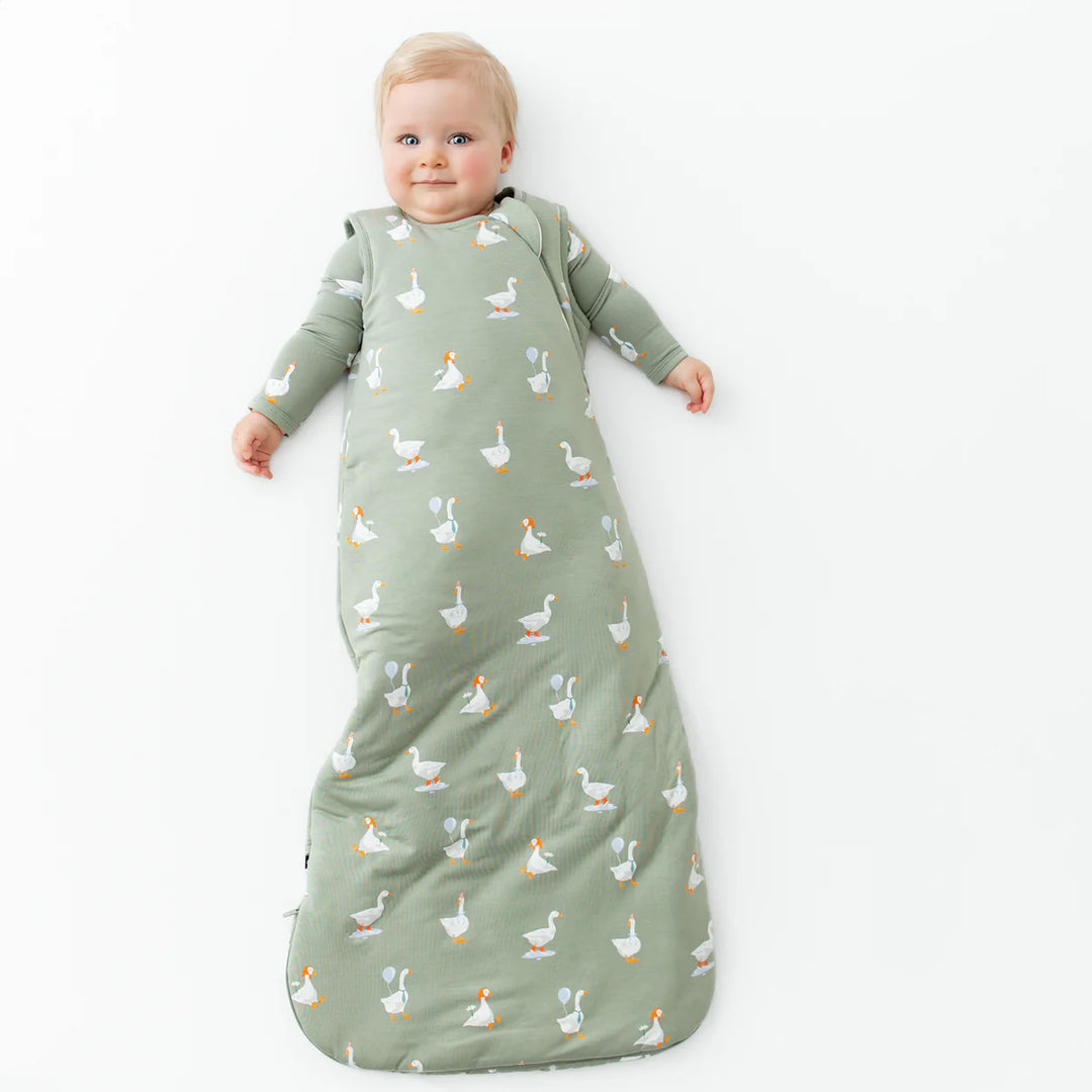 Kyte Baby Sleep Bag 2.5 TOG (Silly Goose)