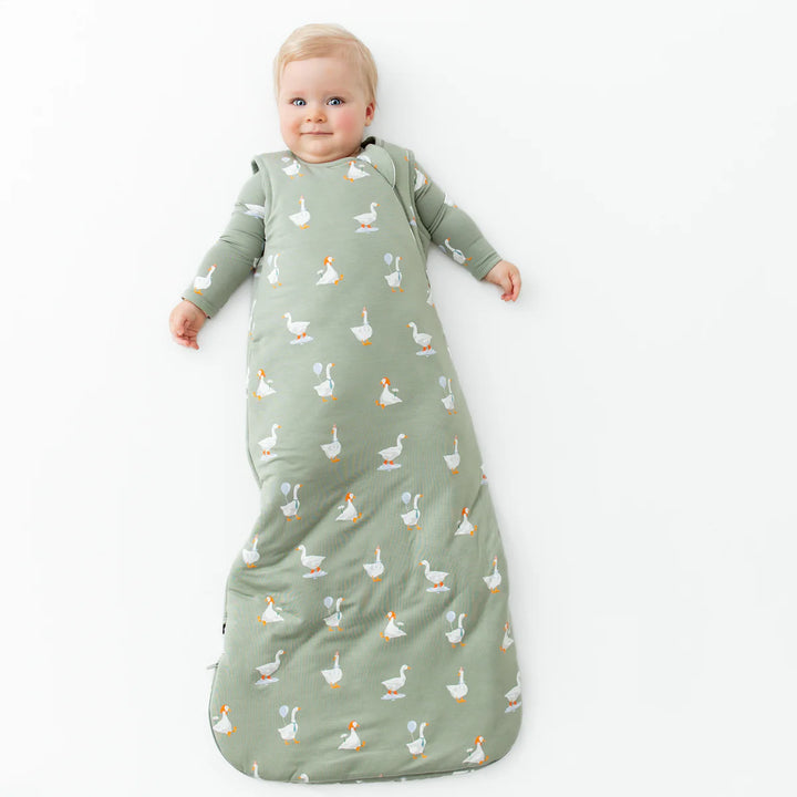 Kyte Baby Sleep Bag 2.5 TOG (Silly Goose)