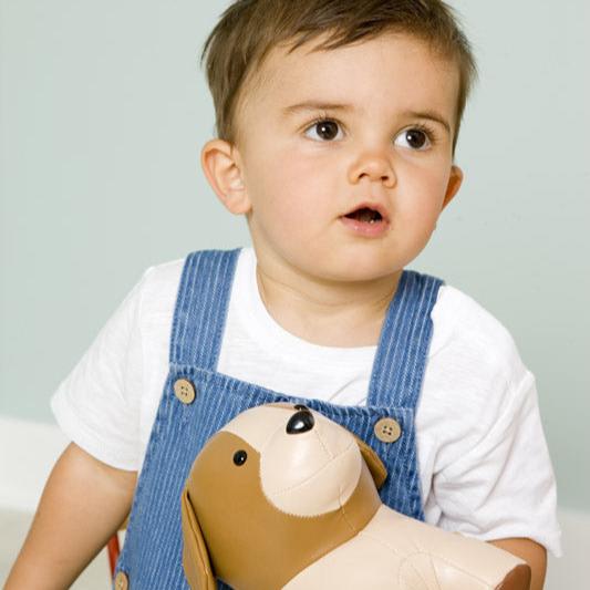 Little Big Friends Musical Animal (Adrien the Dog)