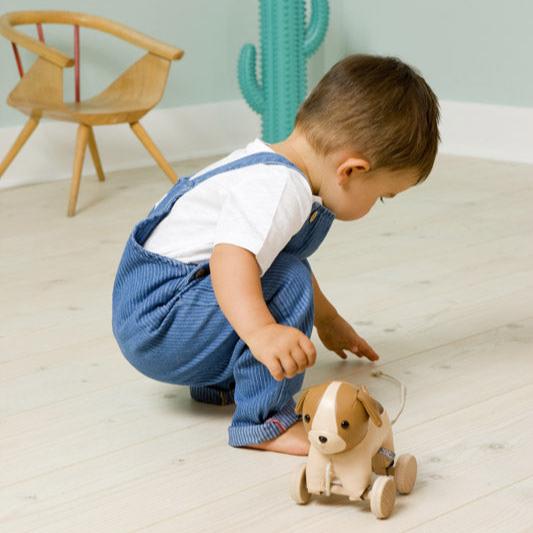 Little Big Friends Pull Along Friends (Adrien the Dog)