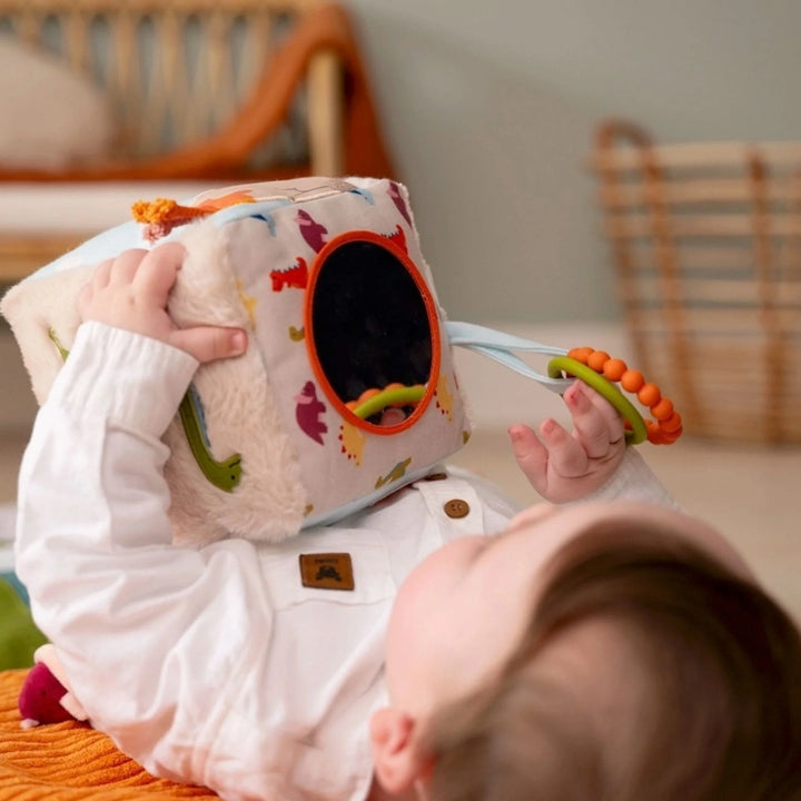 Little Big Friends Soft Activity Cube (Dino)