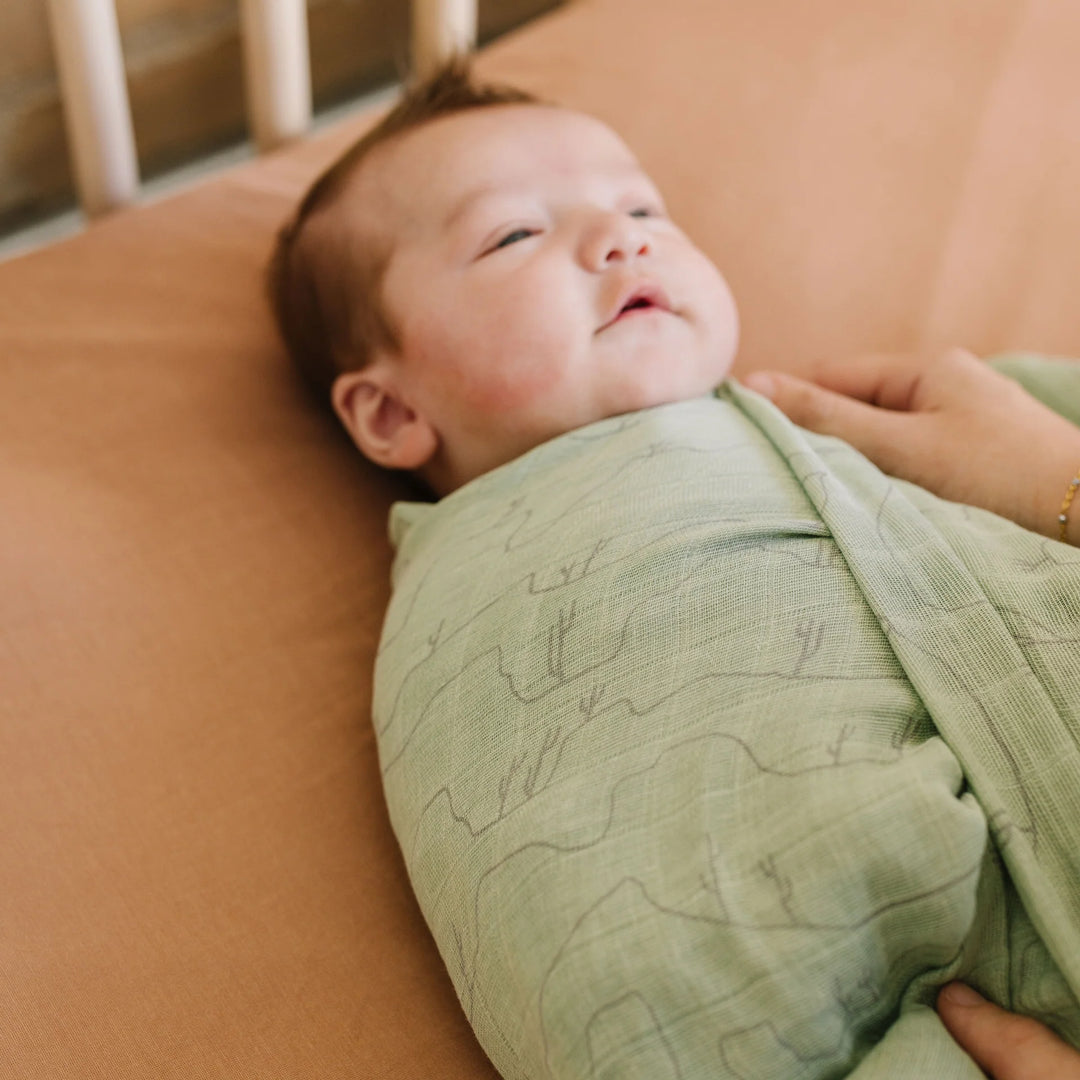 Little Unicorn Cotton Muslin Single Swaddle (Cactus Lines)