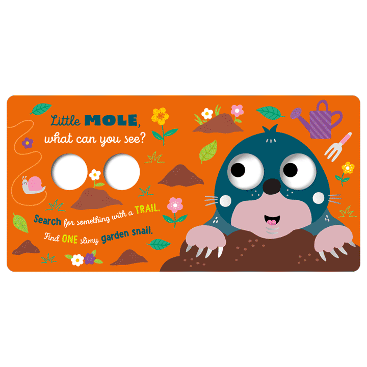 Make Believe Ideas Board Book (Little Owl What Can You See?)