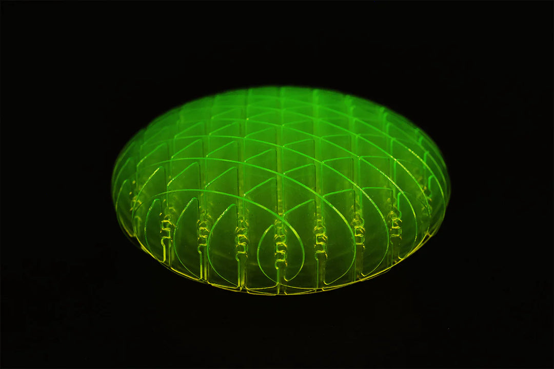 Morf Small Fidget Worm (Green)