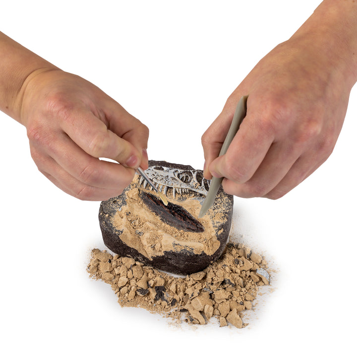 National Geographic Dig Kit (Dino)
