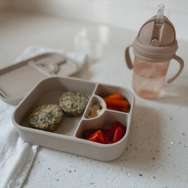 noüka Medium Silicone Sealed Lunch Box (Dust)