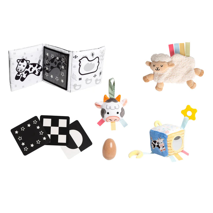 Pearhead Learning Kit (0-6 Months)