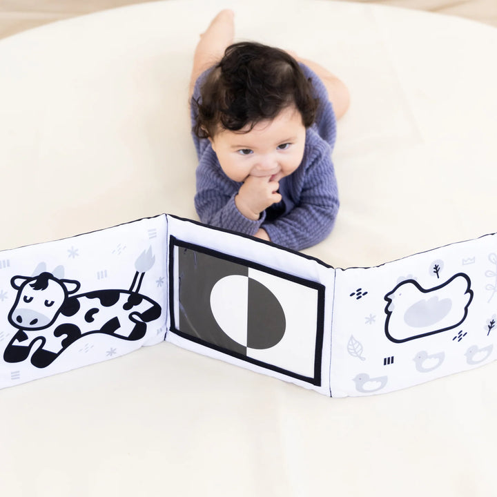 Pearhead Learning Kit (0-6 Months)