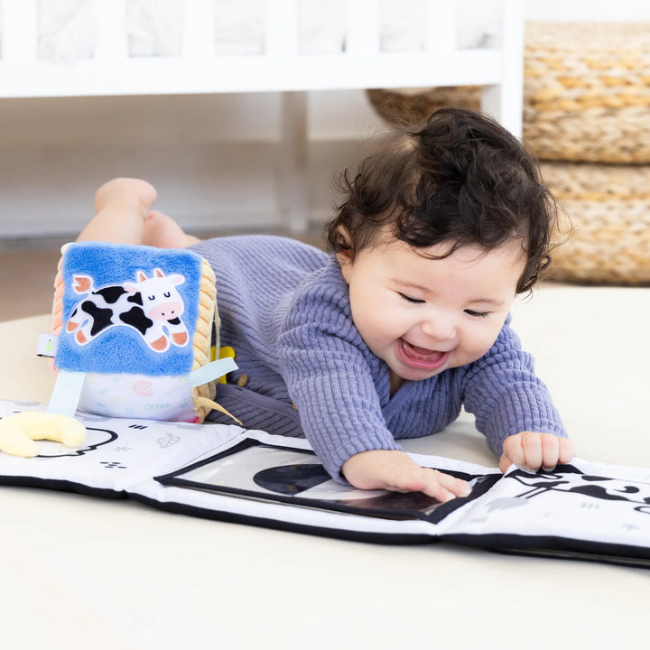 Pearhead Learning Kit (0-6 Months)