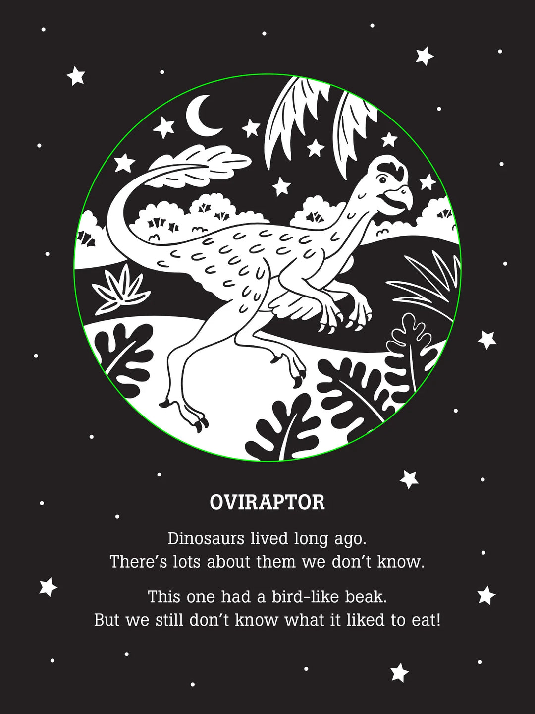 Peter Pauper Bedtime Shadow Book: Dinos After Dark