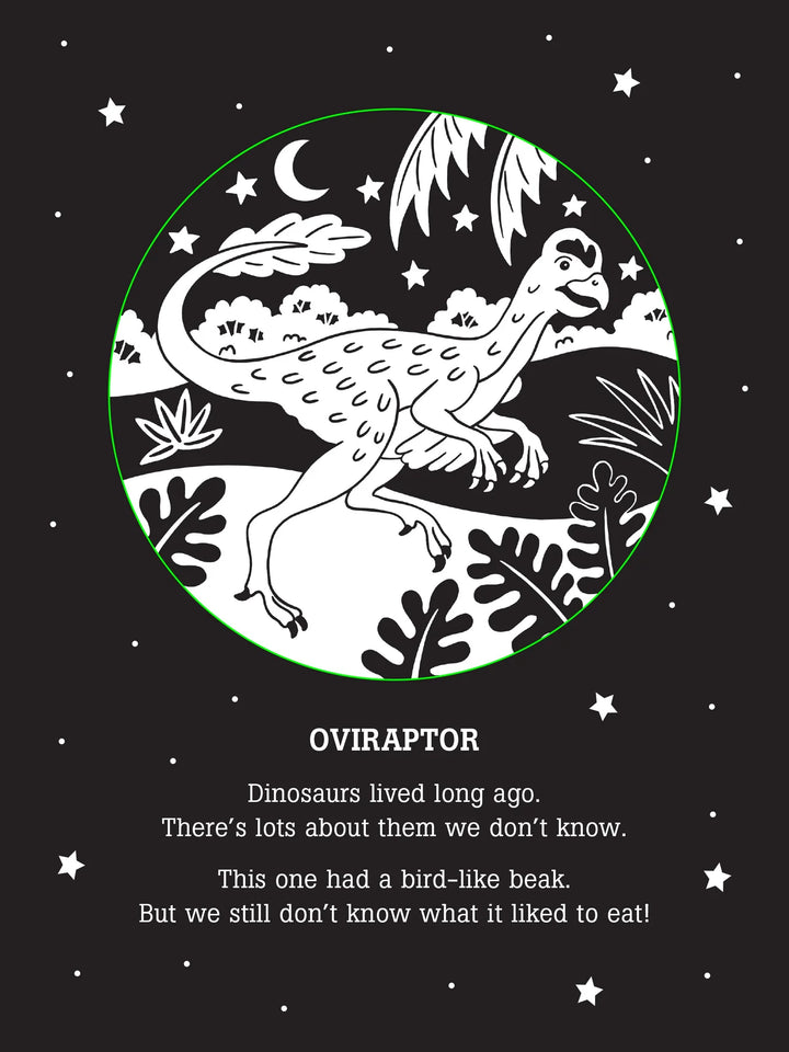 Peter Pauper Bedtime Shadow Book: Dinos After Dark