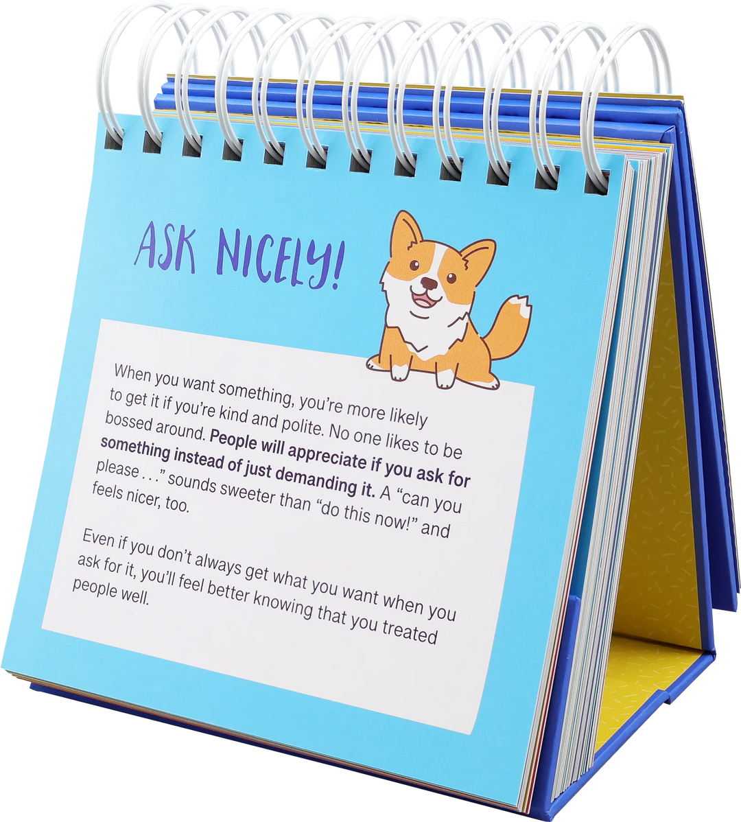 Peter Pauper Everyday Manners &amp; Social Skills Flip Book