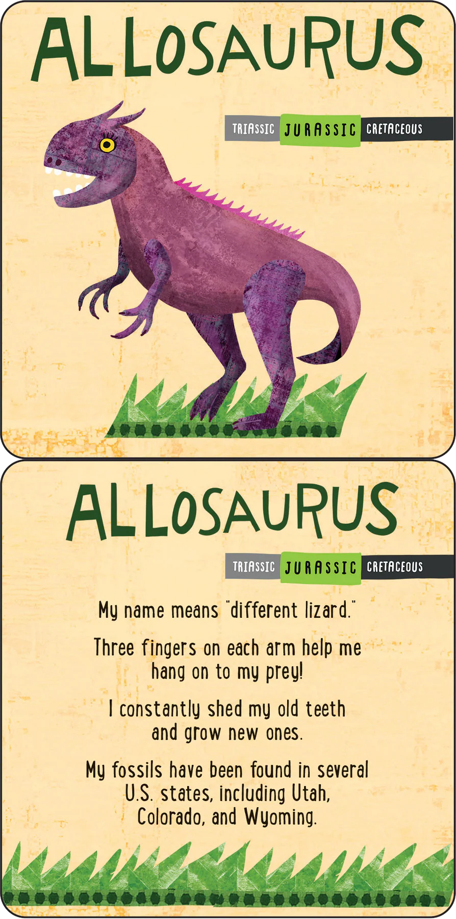 Peter Pauper Lunch Box Notes for Kids (Dinosaur 50 Cards)