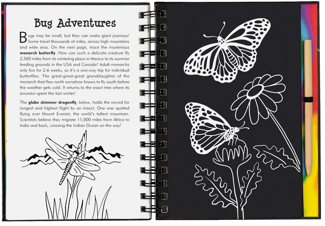 Peter Pauper Scratch and Sketch (Bugs!)