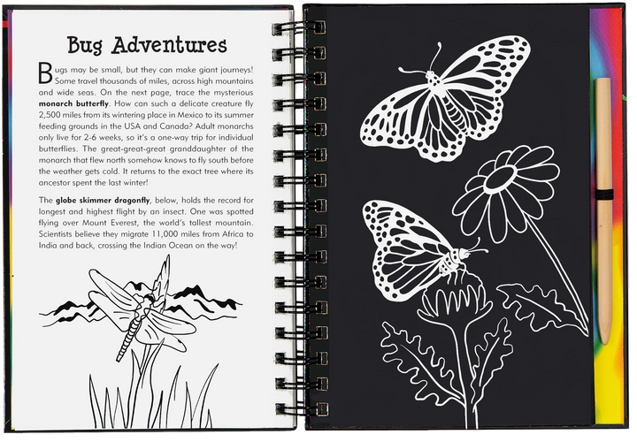 Peter Pauper Scratch and Sketch (Bugs!)