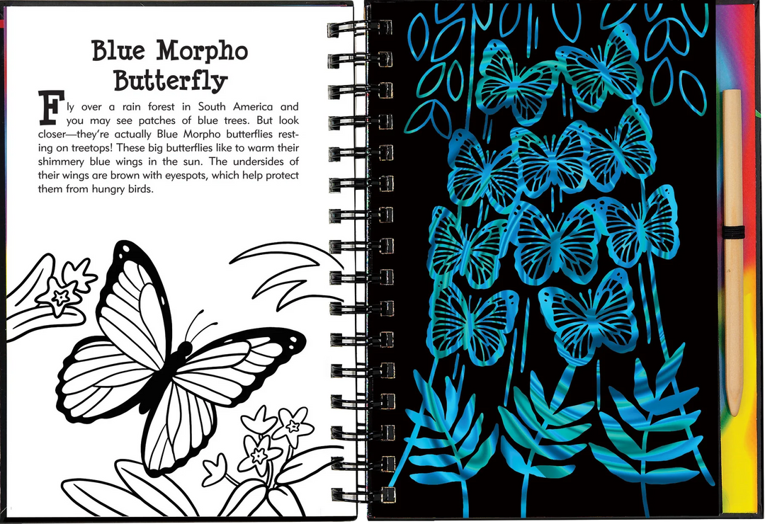 Peter Pauper Scratch and Sketch (Butterflies &amp; Friends)