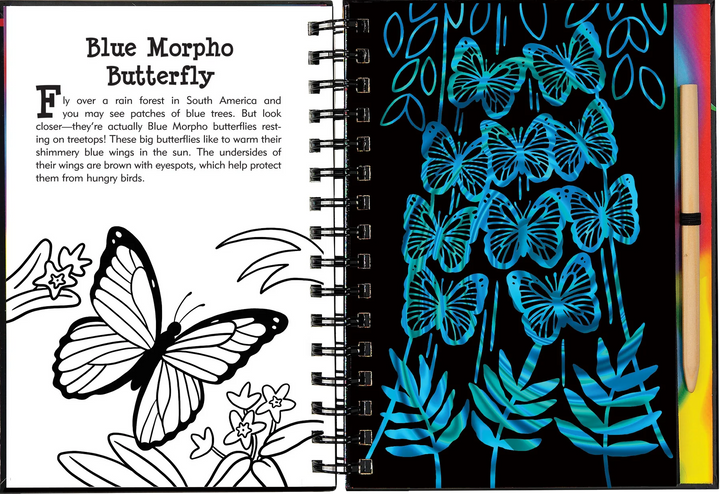 Peter Pauper Scratch and Sketch (Butterflies &amp; Friends)