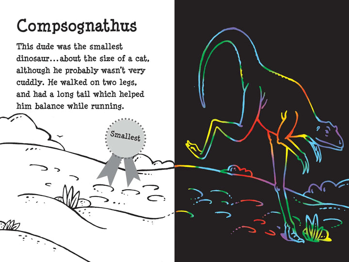Peter Pauper Scratch and Sketch (Dino Dudes)