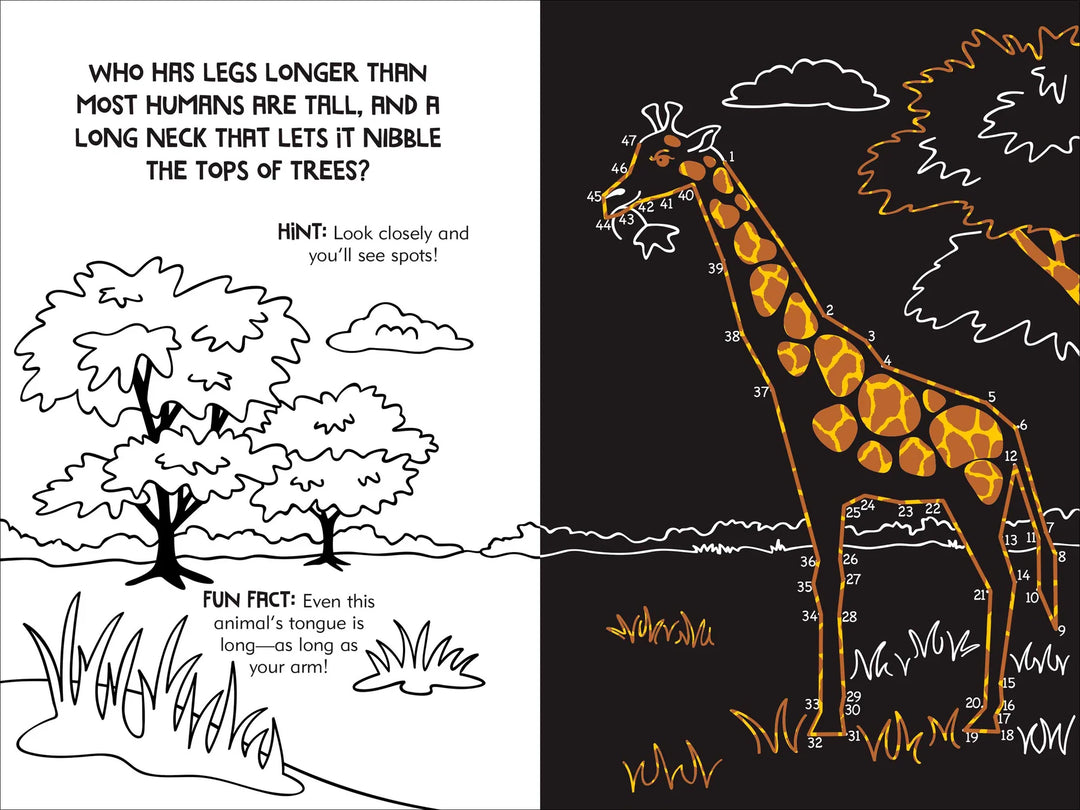 Peter Pauper Scratch and Sketch (Dot-To-Dot Animals)