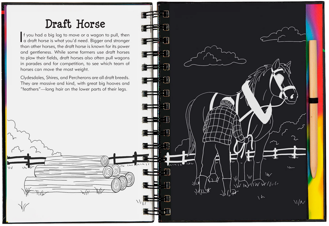 Peter Pauper Scratch and Sketch (Horses)