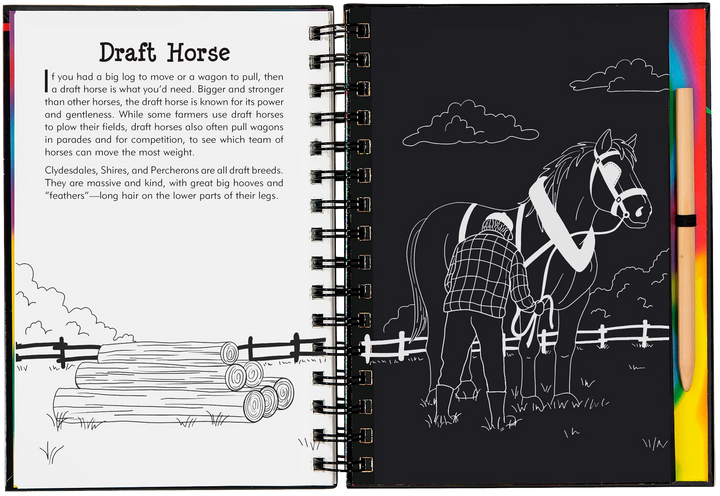 Peter Pauper Scratch and Sketch (Horses)
