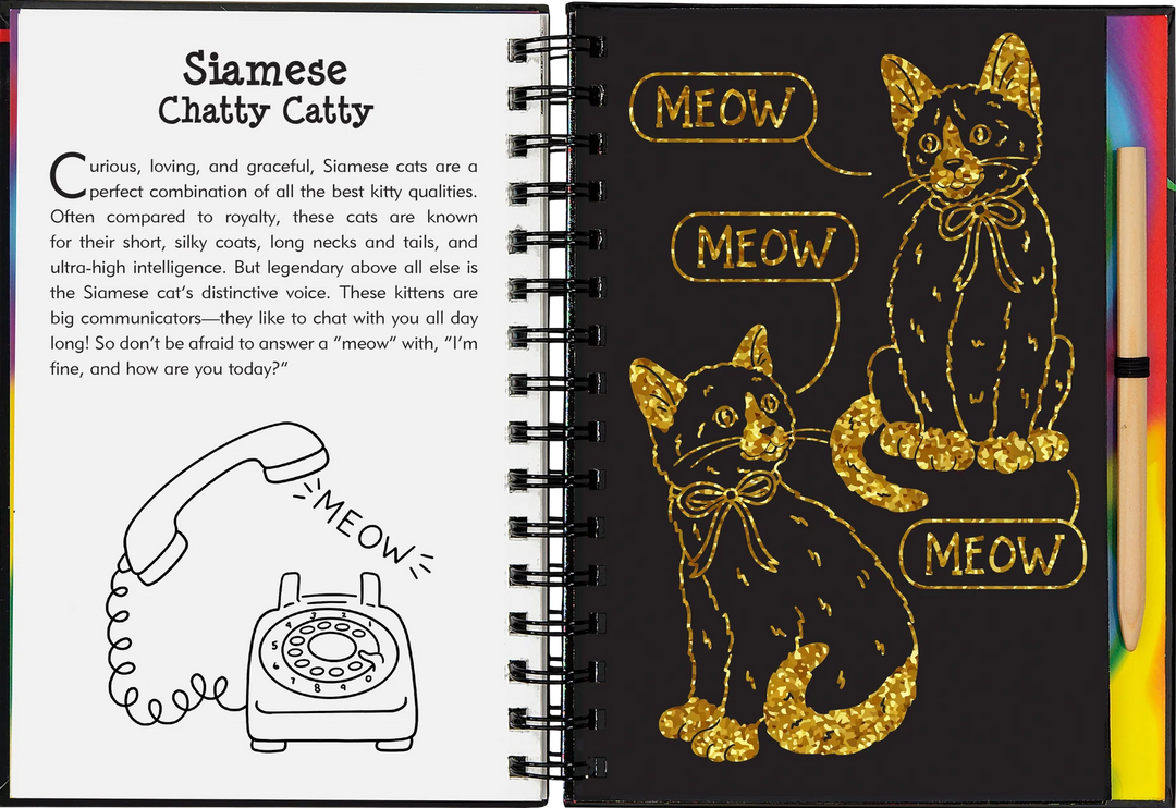 Peter Pauper Scratch and Sketch (Kittens)