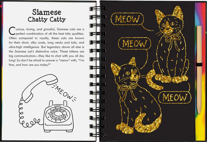 Peter Pauper Scratch and Sketch (Kittens)