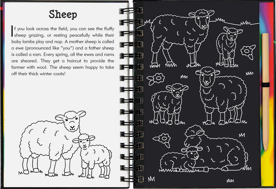 Peter Pauper Scratch and Sketch (On The Farm)