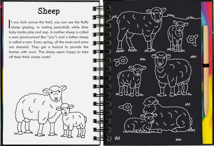 Peter Pauper Scratch and Sketch (On The Farm)