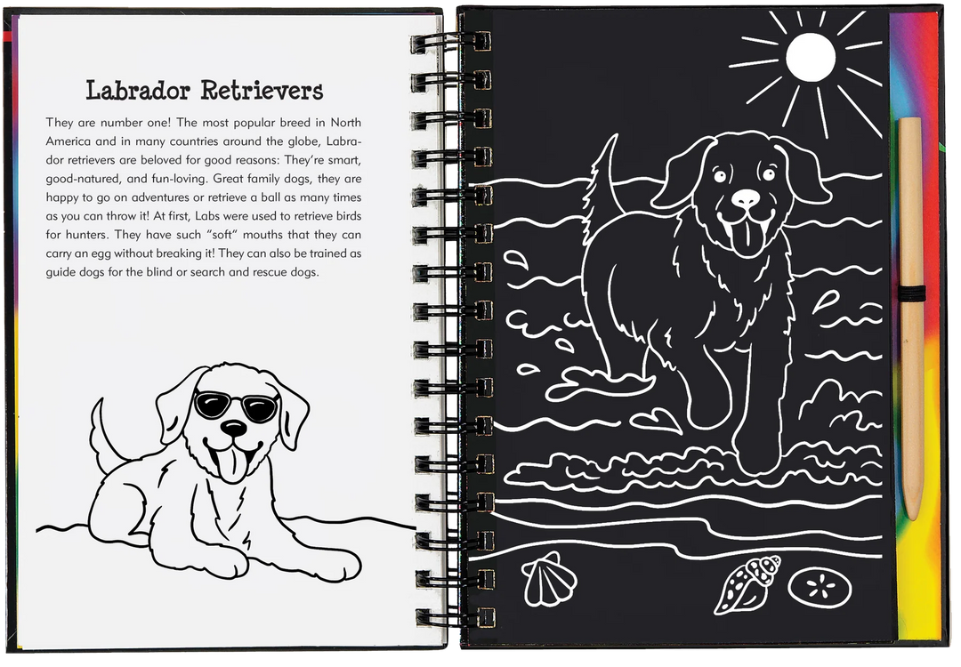 Peter Pauper Scratch and Sketch (Puppies)