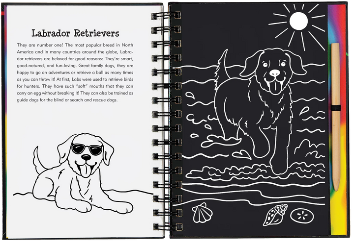 Peter Pauper Scratch and Sketch (Puppies)
