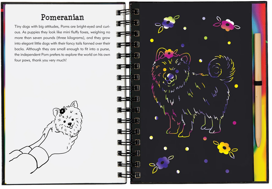 Peter Pauper Scratch and Sketch (Puppies)