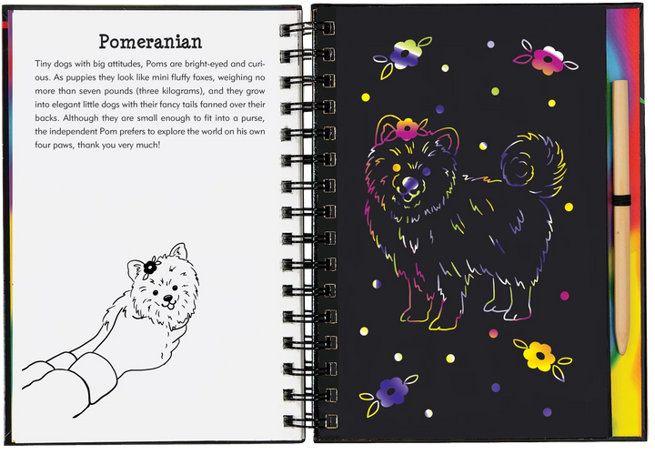 Peter Pauper Scratch and Sketch (Puppies)