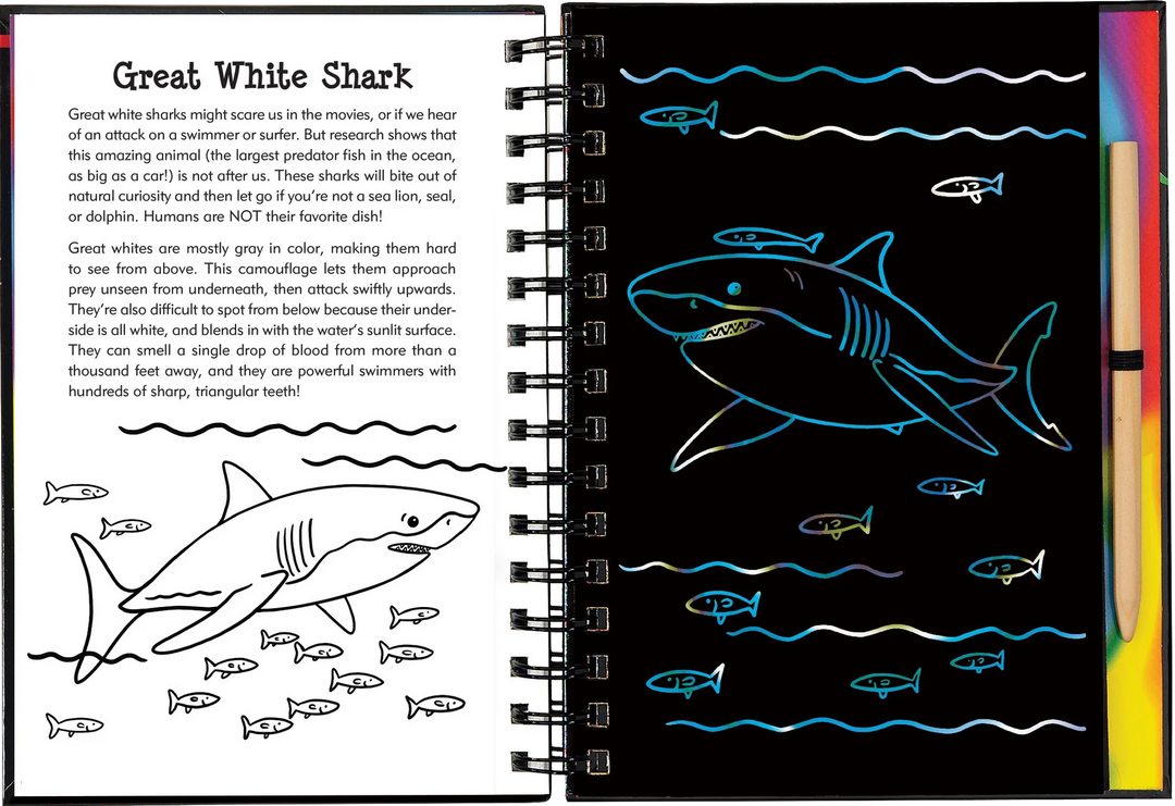 Peter Pauper Scratch and Sketch (Sharks)