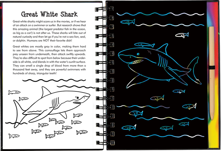 Peter Pauper Scratch and Sketch (Sharks)