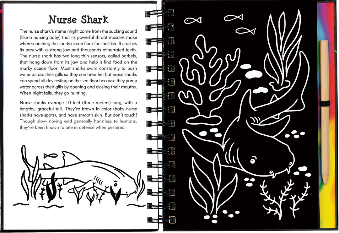 Peter Pauper Scratch and Sketch (Sharks)