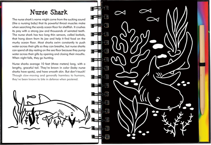 Peter Pauper Scratch and Sketch (Sharks)