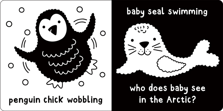 Peter Pauper What Does Baby See? (Baby Animals)