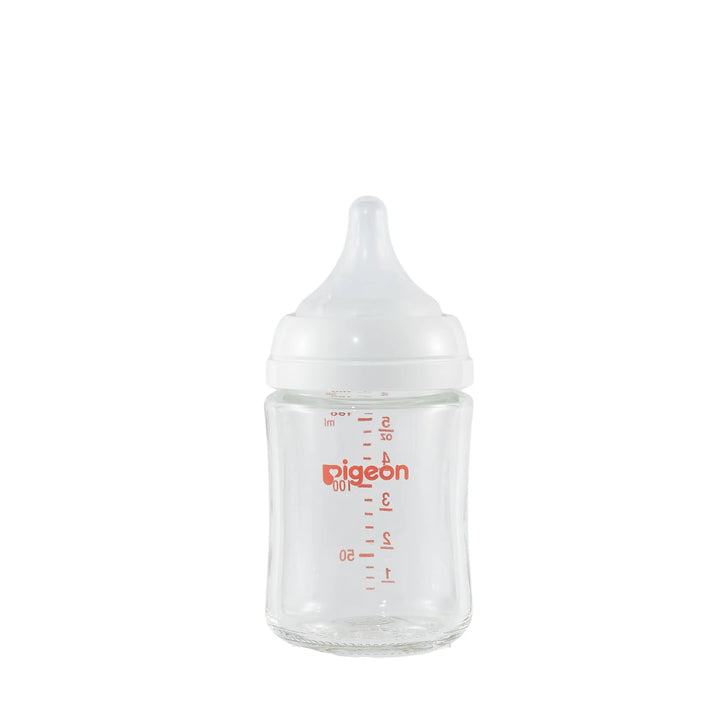 Pigeon Glass Bottle 3-pk (5oz with SS Nipple)