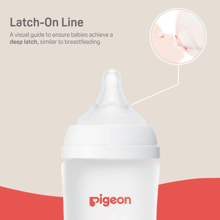 Pigeon Silicone Coated Glass Bottle 2-pk (5oz with SS Nipple)