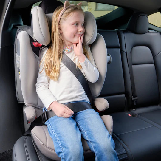Prince Lionheart 2-Stage SeatSaver (Tesla)