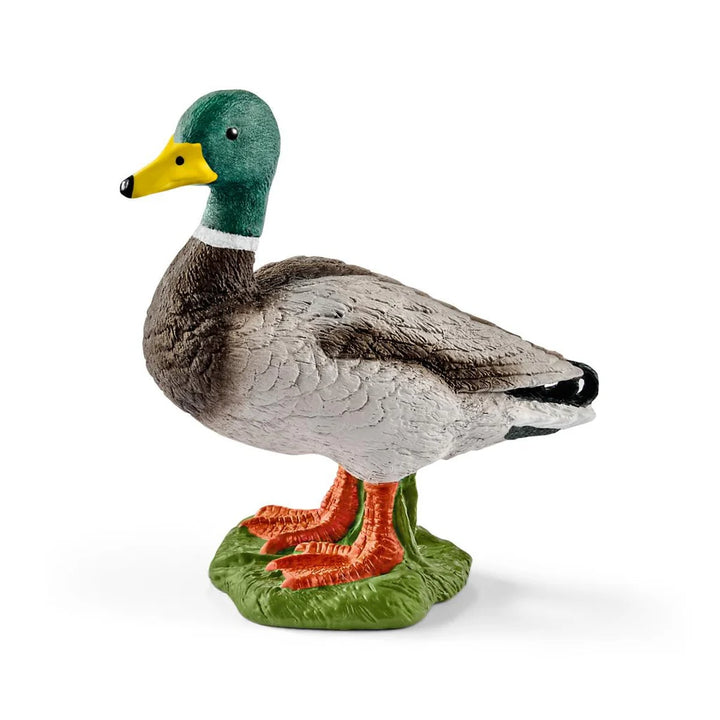 Schleich Fowls &amp; Friends