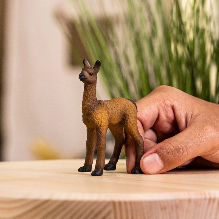 Schleich Llama Foal