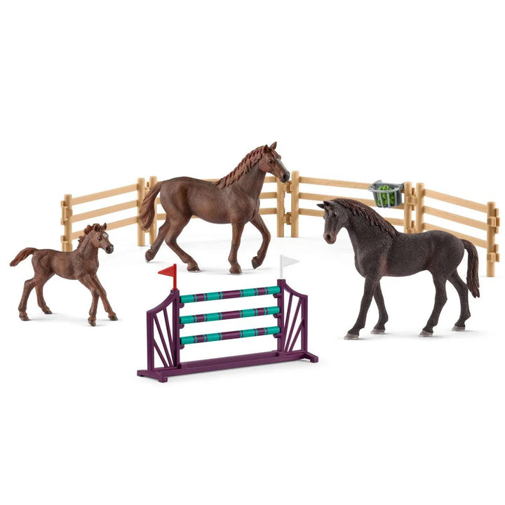 Schleich Secret Training at the Caravan