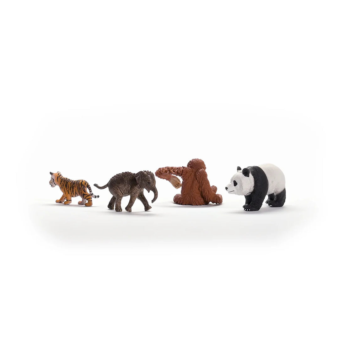 Schleich Wild Life Asia Starter Set babyandme babyandme Kelowna Store