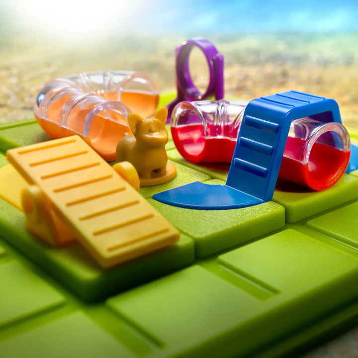 Smart Games Smart Dog Obstacle Run
