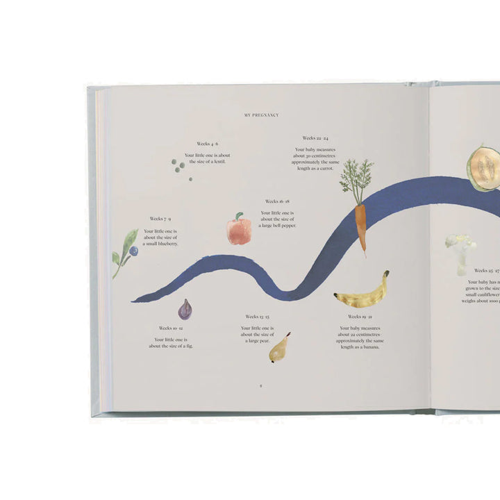 Specialday My Pregnancy Memories & Treasures Journal